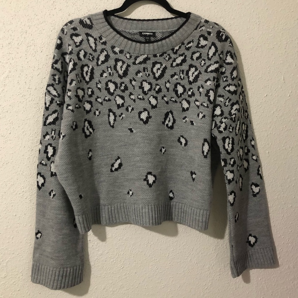 Express leopard print sweater